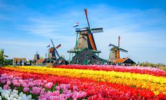 ทัวร์ยุโรปตะวันตก อัมสเตอดัม เทศกาลดอกไม้ KEUKENHOF หมู่บ้านกีธูร์น หอไอเฟล ล่องเรือแม่น้ำแซน พิพิธภัณฑ์ลูฟท์
