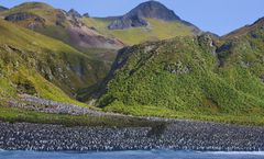 ทัวร์นิวซีแลนด์ ปีใหม่ หมู่เกาะซีกโลกใต้ เกาะเอ็นเดอร์บี หมู่เกาะออคแลนด์ เกาะแมคควารี ล่องเรือเรือสำราญ Le Soleal