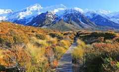 ทัวร์นิวซีแลนด์ ไคร้สท์เชิร์ท ควีนทาวน์ อุทยานแห่งชาติเม้าส์คุ๊ก ยอดเขาบ๊อบส์พีค มิลฟอร์ดซาวด์ กิจกรรมดูดาว