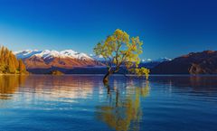 ทัวร์นิวซีแลนด์ เกาะใต้ เกาะเหนือ ไครสต์เชิร์ช อ็อคแลนด์ ศูนย์วัฒนธรรมเมารีเทปูย่า ทะเลสาบวานากา มิลฟอร์ด ซาวน์ รวมค่าวีซ่า+ค่าทิปแล้ว