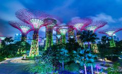 ทัวร์สิงคโปร์ การ์เด้นส์บายเดอะเบย์ เมอร์ไลออน พาร์ค น้ำพุจีเวล อุโมงค์ต้นไม้ วัดพระเขี้ยวแก้ว อิสระเต็มวัน