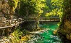 ทัวร์แกรนด์สโลวีเนีย ลุบเบลียนา เพรเซเรน ปราสาทเบลด วินท์การ์ จอร์จ พระราชวังเพทอเรียน ปราสาทถ้ำเพรดจามา รวมวีซ่า+ค่าทิปแล้ว 