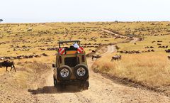 ทัวร์แอฟริกาใต้ เคปทาวน์ พริทอเรีย ไซม่อนทาวน์ แหลมกู๊ดโฮป ฟาร์มนกกระจอกเทศ กิจกรรมส่องสัตว์ซาฟารี ล่องเรือชมแมวน้ำ