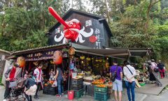 ทัวร์ไต้หวัน หนานโถว ไทจง ไทเป หมู่บ้านปีศาจซีโถว วัดหลงซาน อนุสรณ์สถานเจียงไคเช็ค ตึกไทเป 101 ล่องเรือทะเลสาบสุริยันจันทรา