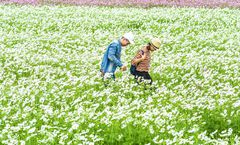 ทัวร์ไต้หวัน ไทจง ไทเป เจียอี้ โรงงานช็อกโกแลต ฟาร์มดอกไม้จงเซ่อ ทะเลสาบสุริยันจันทรา ตึกไทเป 101