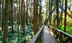 ทัวร์ไต้หวัน ไทเป ไถจง เจียอี้ อุทยานอาหลีซาน ทะเลสาบสุริยันจันทรา หมู่บ้านโบราณจิ่วเฟิ่น ท่าเรือเจิ้งปิน