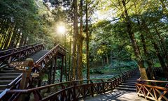 ทัวร์ไต้หวัน ไทเป อุทยานอาลีซาน อุทยานเย๋หลิ่ว หมู่บ้านโบราณจิ่วเฟิ่น ล่องทะเลสาบสุริยันจันทรา