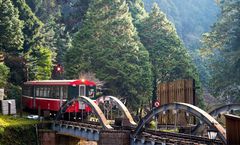 ทัวร์ไต้หวัน ไถจง นั่งรถไฟโบราณ อุทยานอาลีซาน หมู่บ้านปีศาจซีโถว อุทยานเกาะเหอผิง หมู่บ้านโบราณจิ่วเฟิ่น 