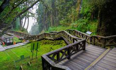 ทัวร์ไต้หวัน ไทเป เจียอี้ ไถจง อุทยานอาลีซาน ล่องเรือทะเลสาบสุริยันจันทรา อนุสรณ์สถานเจียงไคเช็ค