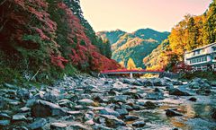 ทัวร์ญี่ปุ่น โอซาก้า โตเกียว ชมใบไม้เปลี่ยนสีหุบเขาโครังเค หมู่บ้านชิราคาวาโกะ อุโมงค์ใบเมเปิ้ล วัดอาซากุสะ