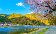 ทัวร์ญี่ปุ่น นารา นาโกย่า เทศกาลประดับไฟฤดูหนาว ปราสาทโอซาก้า สะพานโทเก็ตสึเคียว หุบเขาโครังเค