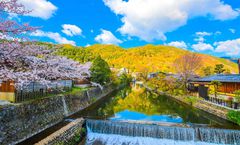 ทัวร์ญี่ปุ่น โอซาก้า เกียวโต ทาคายาม่า ปราสาทโอซาก้า ชมใบไม้เปลี่ยนสี สะพานโทเคตสึ หมู่บ้านชิราคาวะโกะ