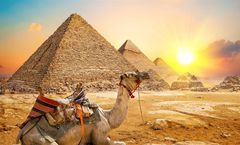 ทัวร์อียิปต์ ไคโร อเล็กซานเดรีย มหาปิรามิด ป้อม ปราการซิทาเดล สุเหร่าโมฮัมเม็ด พิพิธภัณฑ์สถานแห่งชาติอียิปต์