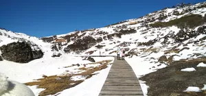 ลด 700/ที่ ,รูดบัตรไม่ชาร์จ,ผ่อน0% จองภายใน 30ต.ค.-25ธ.ค. : ทัวร์จีน คุนหมิง ภูเขาหิมะเจี้ยวจื่อ หม่าหยวนมิเตอร์เกจ เขื่อนไห่เกิง ทะเลสาบชุ่ยหู ถนนต้นแปะก๊วยเหวินหลิน