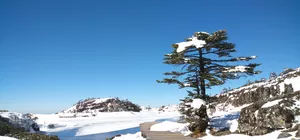 ลด 700/ที่ ,รูดบัตรไม่ชาร์จ,ผ่อน0% จองภายใน 30ต.ค.-25ธ.ค. : ทัวร์จีน คุนหมิง ภูเขาหิมะเจี้ยวจื่อ ถนนต้นแปะก๊วยเหวินหลิน ทะเลสาบชุ่ยหู เขื่อนไห่เกิง พิชิตยอดเขาซีซาน