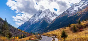 ลด 700บาท/ที่, รูดบัตรฟรี จองภายใน 15 ม.ค-30 มิ.ย.69 : ทัวร์จีน เฉิงตู ภูเขาสี่ดรุณี อุทยานปี้ผิงโกว อุทยานต๋ากู่ปิงชวน ถนนโบราณจินหลี่ ไม่เข้าร้านรัฐบาล