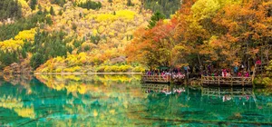 ทัวร์จีน เฉิงตู อุทยานจิ่วจ้ายโกว ภูเขาหิมะต๋ากู่ปิงชวน ภูเขาสี่ดรุณี ใบไม้เปลี่ยนสี ไม่เข้าร้านรัฐบาล