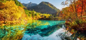 ลด 600/ที่ รูดบัตรไม่ชาร์จ,ผ่อน0% จองภายใน 11พ.ย.-25ธ.ค.68 : ทัวร์จีน เฉิงตู ภูเขาสี่ดรุณี อุทยานปี้เผิงโกว อุทยานแห่งชาติจิ่วจ้ายโกว วัดต้าฉือ น้ำพุไม้ไผ่ตึก SKP ไม่เข้าร้านรัฐบาล