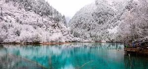 ลด 900/ที่ รูดบัตรไม่ชาร์จ,ผ่อน0% จองภายใน 11พ.ย.-25ธ.ค.68 : ทัวร์จีน เฉิงตู อุทยานจิ่วจ้ายโกว อุทยานภูเขาสี่ดรุณี อุทยานปี้เผิงโกว ต๋ากู่ปิงชวน ไม่เข้าร้านรัฐบาล