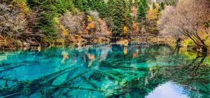 ทัวร์จีน เฉิงตู ภูเขาสี่ดรุณี อุทยานจิ่วจ้ายโกว เมืองโบราณซงพาน ใบไม้เปลี่ยนสี ไม่เข้าร้านรัฐบาล