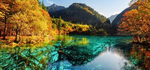 โปร 9.9 ลด 600/ที่ จองภายใน 9-23ก.ย. ทัวร์จีน เฉิงตู อุทยานจิ่วจ้ายโกว ภูเขาหิมะต๋ากู่ปิงชวน หุบเขาหมีแพนด้า ใบไม้เปลี่ยนสี ไม่เข้าร้านรัฐบาล