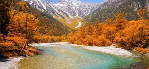 ลด 700บาท/ที่ รูดบัตรไม่ชาร์จ,ผ่อน0% จองภายใน 30ต.ค- 25ธ.ค. : ทัวร์ญี่ปุ่น โตเกียว คาวาโกเอะ ฮาคุบะ ใบไม้เปลี่ยนสี คามิโคจิ วัดอาซากุสะ สวนสาธารณะโออิเดะ สวนแอปเปิ้ล