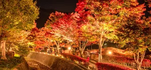 ทัวร์ญี่ปุ่น โตเกียว ฮาเนดะ อิบารากิ ใบไม้เปลี่ยนสี อุโมงค์เมเปิ้ล วัดอาซากุสะ หมู่บ้านโอชิโนะฮัคไค อิสระเต็มวัน