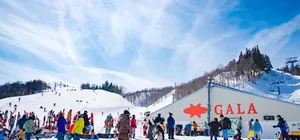 ลด 1,200บาท/ที่, รูดบัตรฟรี, ผ่อน0% จองภายใน 15ม.ค.-23ก.พ.69 : ทัวร์ญี่ปุ่น โตเกียว คาวาโกเอะ วัดโชรินซังดารุมะจิ ลานสกีกาล่า ยูซาว่า สโนว์รีสอร์ท วัดอาซากุสะ คุซัทสึออนเซ็น 