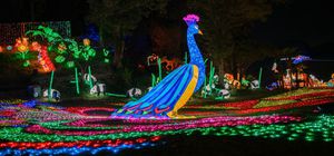 ลด 900บาท/ที่ รูดบัตรไม่ชาร์จ,ผ่อน0% จองภายใน 15 ม.ค-30 เม.ย.69 : ทัวร์ญี่ปุ่น โตเกียว คาวาโกเอะ วัดอาซากุสะ ลานสกีฟูจิเท็น เทศกาลงานประดับไฟ Tokyo German Village อิสระเต็มวัน