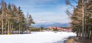 ลด 900บาท/ที่ รูดบัตรไม่ชาร์จ,ผ่อน0% จองภายใน 30ก.ย.-27ก.พ.69 : ทัวร์ญี่ปุ่น โตเกียว หมู่บ้านโอชิโนะฮัคไค สวนสตอเบอร์รี แมวยักษ์ 3 มิติ ลานสกี ฟูจิเท็น สโนว รีสอร์ท