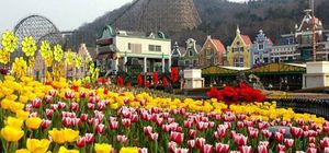 ทัวร์เกาหลี โซล เกาะนามิ สวนสนุกเอเวอร์แลนด์ (เต็มวัน) ปั่น RAIL BIKE อุทยานแห่งชาติซอรัคซาน
