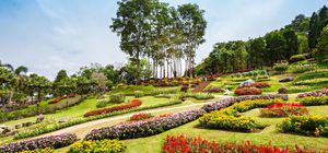ทัวร์ไทย เชียงราย ดอยตุง ดอยผาฮี้ สวนรุกขชาติแม่ฟ้าหลวง วัดร่องขุ่น วัดร่องเสือเต้น ไร่ชาฉุยฟง