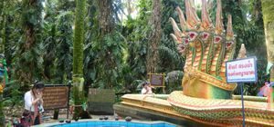 ทัวร์ไทยวันเดียว อุดรธานี หนองคาย คำชะโนด ลานพญานาคคู่ วัดพระธาตุบังพวน วัดโพธิ์ชัย
