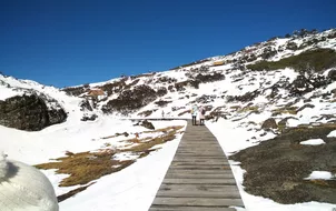 ทัวร์จีน คุนหมิง ภูเขาหิมะเจี้ยวจื่อ หม่าหยวนมิเตอร์เกจ เขื่อนไห่เกิง ทะเลสาบชุ่ยหู ถนนต้นแปะก๊วยเหวินหลิน