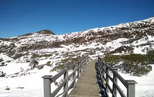 ทัวร์จีน คุนหมิง นั่งกระเช้าไฟฟ้าสู่ภูเขาหิมะเจียวจื่อ ทะเลสาบเตียนฉือ สวนน้ำตกคุนหมิง ซุ้มประตูม้าทองไก่หยก