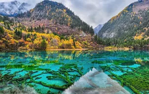 ทัวร์จีน เฉิงตู ภูเขาสี่ดรุณี อุทยานหวงหลง อุทยานจิ่วจ้ายโกว แพนด้ายักษ์ปีนตึก IFS ตึกแฝดเฉิงตู ไม่เข้าร้านรัฐบาล