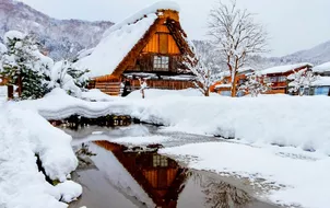 ลด 900บาท/ที่ รูดบัตรไม่ชาร์จ,ผ่อน0% จองภายใน 30ก.ย.-27ก.พ.69 : ทัวร์ญี่ปุ่น โอซาก้า เกียวโต นั่งกระเช้าลอยฟ้าชิโฮทะกะ หมู่บ้านชิราคาวาโกะ ลานสกีเมืองกุโจ งานประดับไฟฤดูหนาวนาบานะ โนะ ซาโตะ