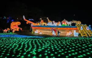 ทัวร์ญี่ปุ่น โตเกียว คาวาโกเอะ วัดอาซากุสะ ลานสกีฟูจิเท็นรีสอร์ท งานประดับไฟฤดูหนาว Tokyo German Village อิสระเต็มวัน