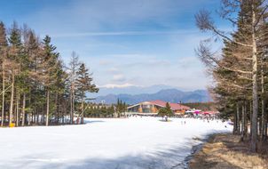 ลด 900บาท/ที่ รูดบัตรไม่ชาร์จ,ผ่อน0% จองภายใน 30ก.ย.-27ก.พ.69 : ทัวร์ญี่ปุ่น โตเกียว หมู่บ้านโอชิโนะฮัคไค สวนสตอเบอร์รี แมวยักษ์ 3 มิติ ลานสกี ฟูจิเท็น สโนว รีสอร์ท