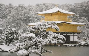 ทัวร์ญี่ปุ่น โอซาก้า เกียวโต ศาลฟูชิมิ อินาริ ลานสกี Rokko Snow Land วัดคินคะคุจิ อิสระเที่ยวเต็มวัน