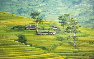 ทัวร์เวียดนาม ซาปา นิงบิงห์ ฮาลอง ถ้ำนางฟ้า หมู่บ้านCAT CAT VILLAGE ถ้ำตามก๊ก ล่องเรืออ่าวฮาลองเบย์