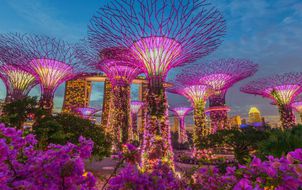 ทัวร์สิงคโปร์ เมอร์ไลอ้อน การ์เด้นบายเดอะเบย์ น้ำพุแห่งความมั่งคั่ง