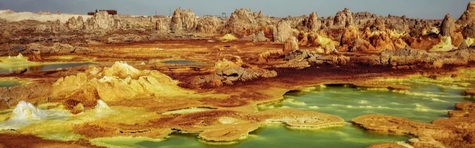 ทัวร์เอธิโอเปีย ใบไม้เปลี่ยนสี 2568 ชมสีสันใบไม้แดง