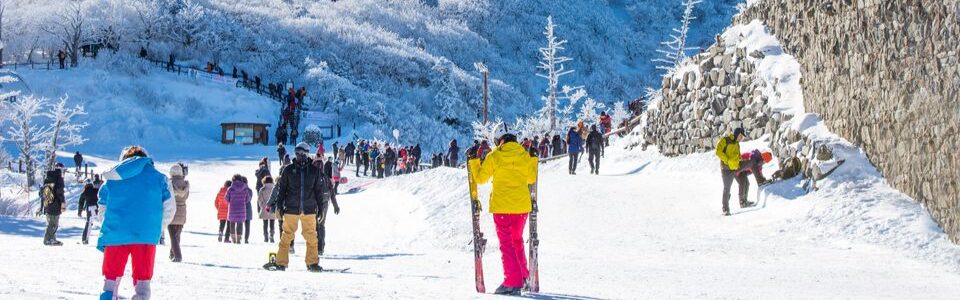 ทัวร์เกาหลี เล่นสกี เที่ยวคุ้ม ราคาโดนใจ Update ที่นั่งทุกวัน