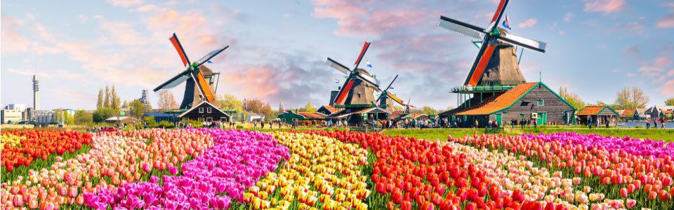 ทัวร์เนเธอร์แลนด์ ใบไม้เปลี่ยนสี 2567 ชมสีสันใบไม้แดง