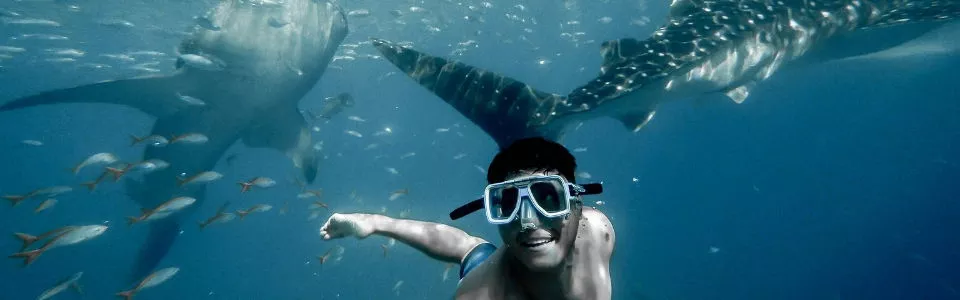 ทัวร์ฟิลิปปินส์ ทัวร์ฟิลิปปินส์