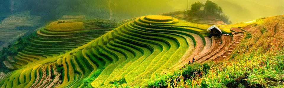 ทัวร์เวียดนาม ทัวร์วันเฉลิมฯพระราชินี 2569 เที่ยวโดนใจ ทัวร์เวียดนาม ทัวร์วันเฉลิมฯพระราชินี 2569 เที่ยวโดนใจ