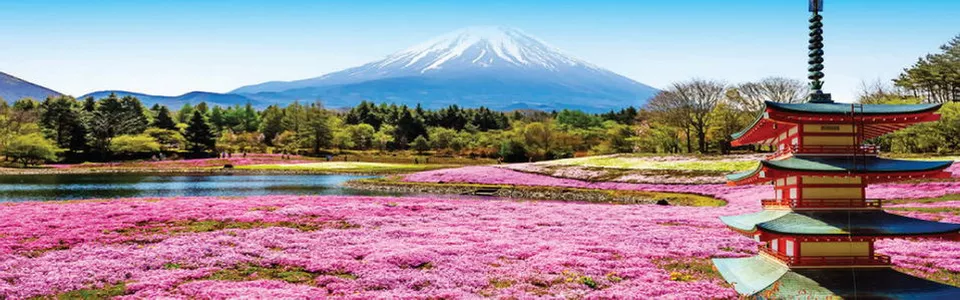 ทัวร์อเมริกา วันแรงงาน 2569 เที่ยวโดนใจ ทัวร์อเมริกา วันแรงงาน 2569 เที่ยวโดนใจ