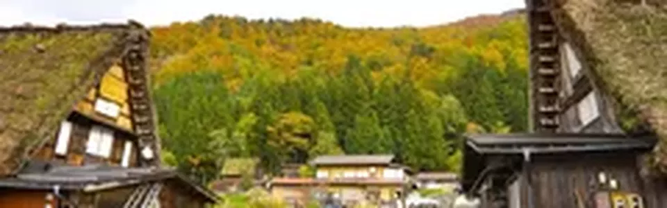 ทัวร์ญี่ปุ่น ชิราคาวาโกะ 2569 ราคาดีต่อใจ